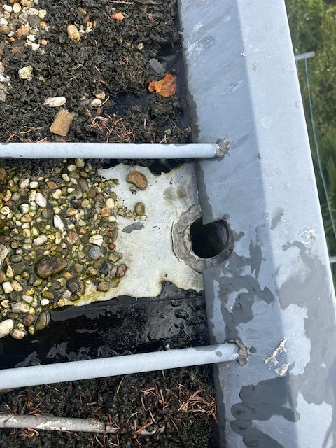 Verstopte dakafvoer met stilstaand water, grind en bladresten rond de put